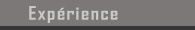 Expérience