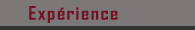 Expérience